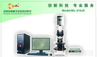 网络技术开发 连接未来的桥梁